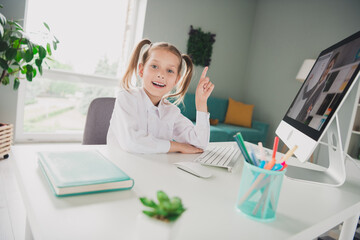 Photo portrait of cute adorable girl eureka point up finger brilliant idea online computer remote lesson education from home indoors