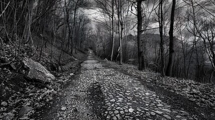 Naklejka premium black road in the forest