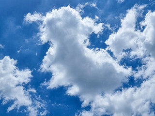 Obraz premium blue sky high abstract animal shape outdoor group of white clouds background in summer gradient light beauty background. beautiful bright cloud and calm fresh wind air