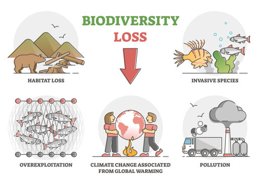 Biodiversity loss issues or causes as climate ecosystem problem outline set, transparent background. Wildlife extinction from habitat loss, invasive species, overexploitation.