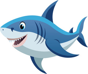 A shark fish on white background 