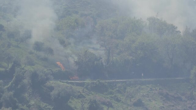 Forest Fire In Sicily