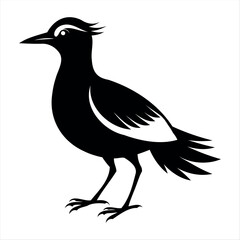 Vector Illustration Silhouette Beautiful Birds collection isolated on a white background