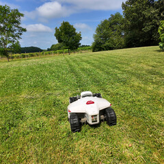 Jardin et robot tondeuse