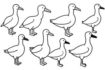 Albatross bird line art illustration