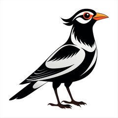 Vector Illustration Silhouette Beautiful Birds collection isolated on a white background