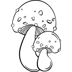 poisonous mushroom