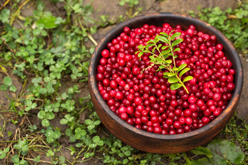 Vitamin lingonberry in the wooden bowl in the garden