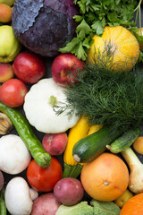 Plant background with ripe fruits, vegetables and herbs. Concept of fertility and good harvest, top view