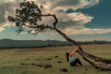 a beautiful girl near a lonely laurel tree in a meadow high in the mountains on the island of Madeira Portugal