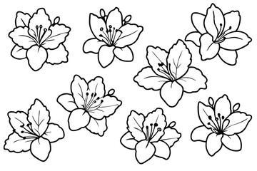 Azalea flower line art illustration