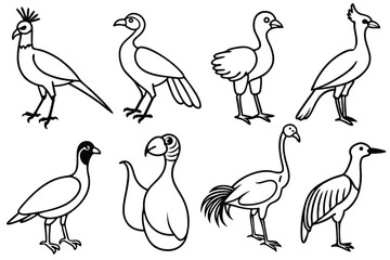 Obraz premium Avian bird line art illustration