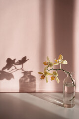 Pink aesthetic background with still life, sunlight, spring palette