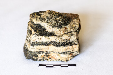 Banded Gneiss of the Archean Beitbrugkompleks on a white background with a scale