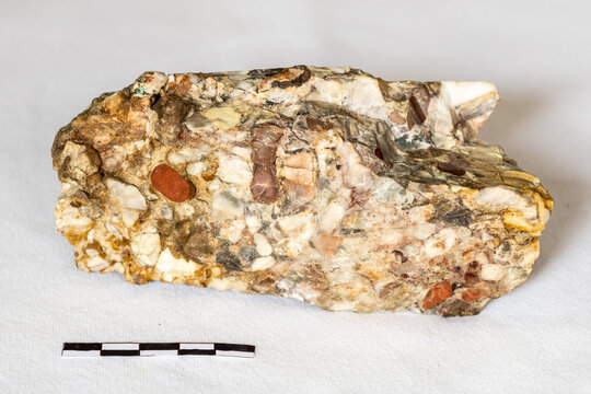 A chert conglomerate from the Fig Tree Formation of the Barberton greenstone belt