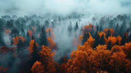 Mystical Autumn Forest Blanketed in Fog With Vibrant Orange and Green Foliage at Dawn. Generative AI