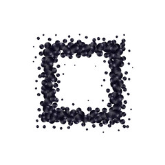 Nature, colorful, multicolored sea pearl background with black small and big pearls isolated on transparent background. Photo frame. Eps 10