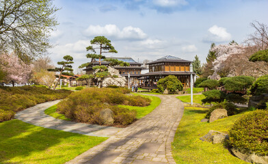 Path through the japanese garden in Bad Langensalza, Germany