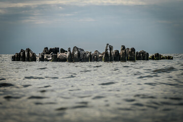 A row of weathered wooden posts and rocks emerges from a calm sea under an overcast sky. The scene...