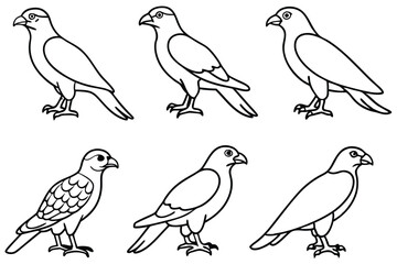 Buzzard bird line art illustration