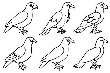 Buzzard bird line art illustration