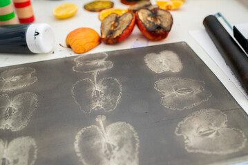 A gel printing plate onto which apple stamps have been applied with acrylic paint. Ready for a one-off mono print.