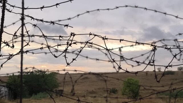rows of fencing made tangled barbed wire against the backdrop nature and sky