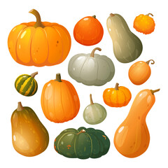 Organic natural pumpkin collection different types, forms, colors isolated on white background.
