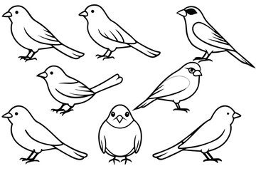 Canary bird line art illustration