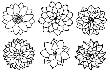 Dahlia flower line art illustration Design Concepts