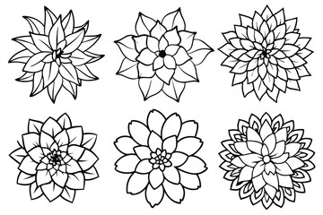 Obraz premium Dahlia flower line art illustration Design Concepts