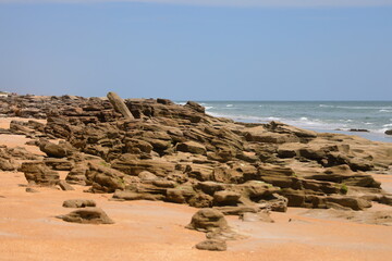 Brown coquina rock on beach near St Augustine, FL