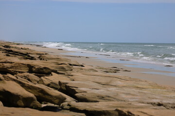 Brown coquina rock on beach near St Augustine, FL