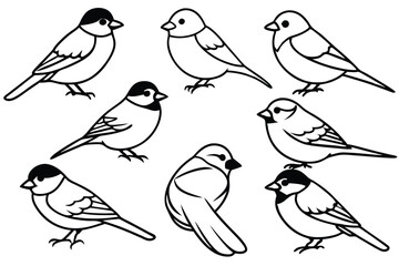 Chickadee bird line art illustration