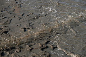 Crab and shell traps set up on the beach.