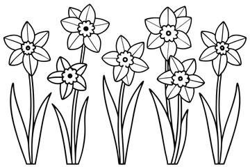 Obraz premium Daffodil flower line art illustration