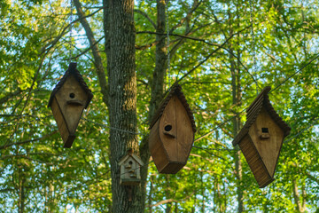 Wooden birdhouses hanging from chains among trees in a forest. Nature and wildlife habitat concept for design and print.