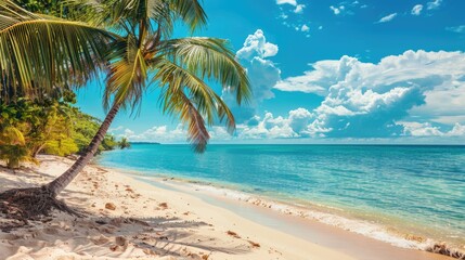 Obraz premium A serene beach scene with palm trees and the ocean in the background