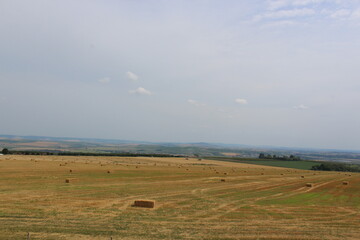 landscape in the summer