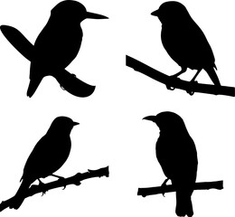 set of silhouettes birds,silhouette of a perched bird