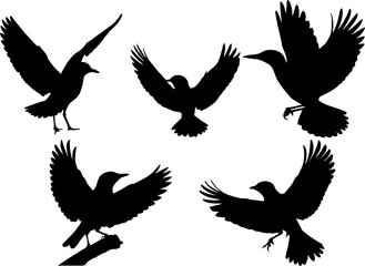 set of silhouettes of birds