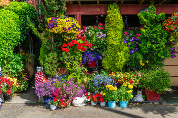 Crazy Flower House Section 2