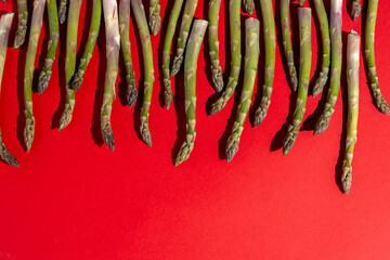Green asparagus on red background. Vegetable food top view. Sprouts stems layout Copy spase.