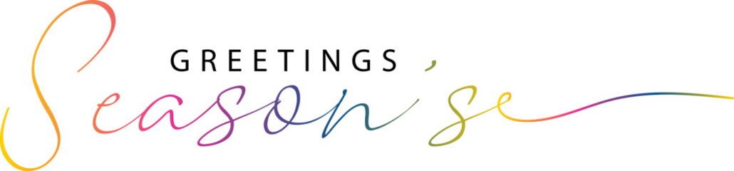 Season's Greetings trendy lettering text. Hand written calligraphy inscription with omela leaves, spruce branch. Vector