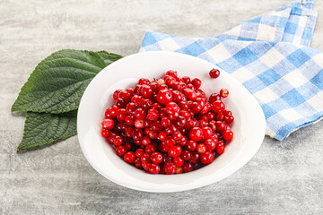 Ripe sweet wild organic cowberry