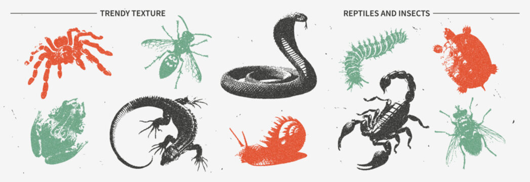 Retro collection of reptile, insects with a photocopy effect. Modern design of snake, spider, scorpion, toad elements in a halftone dot design for a banner or poster.