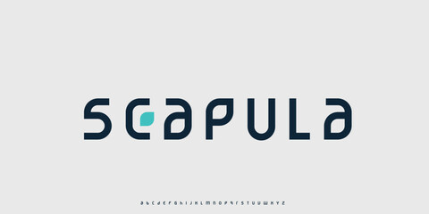 Vector elegant alphabet letters font classic modern serif lettering minimal fashion
