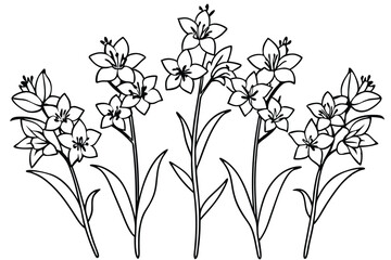 Delphinium flower line art illustration