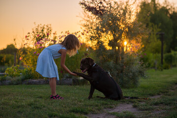 Szkolenie labradora przez dziecko  © katarzyna
