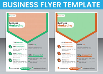 Business Flyer Template Design,Graphic Design Layout With Triangle
